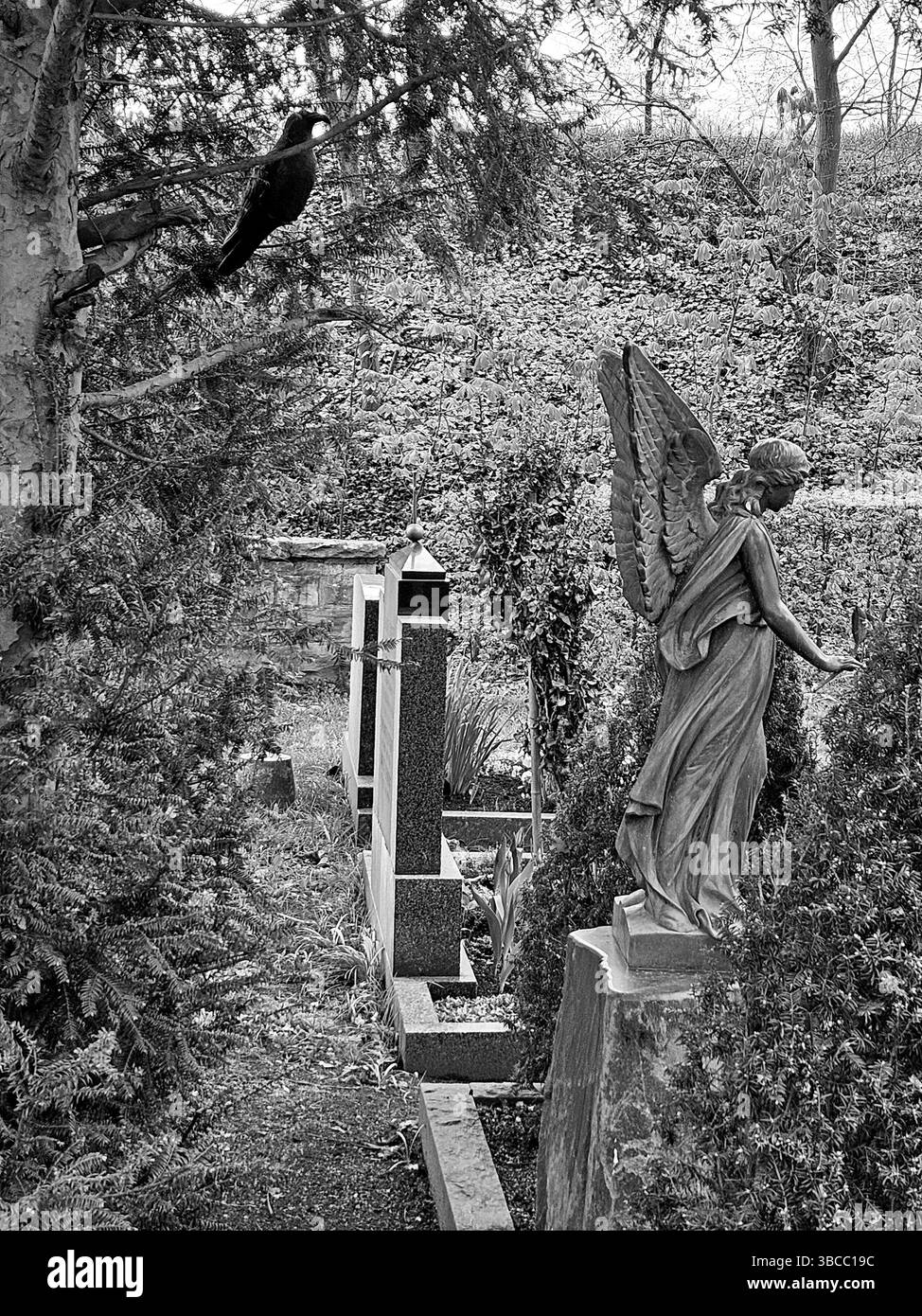Schwarz-weiß-Foto der Trauerengel-Statue auf dem historischen bayerischen Friedhof. Gotischer Friedhof mit Krähe und symbolischer spiritueller Atmosphäre. - Smartphone-aufgenommenes Stockfoto