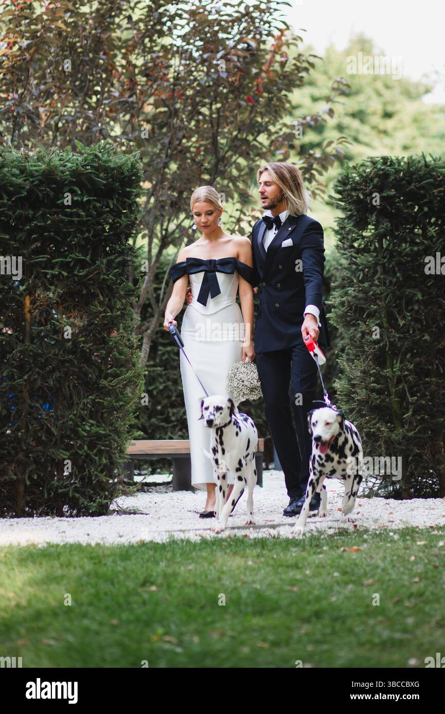 Stilvolles junges, wunderschönes frisch vermähltes Paar, das bei einer Hochzeit im Park mit zwei Dalmatinen spaziert Stockfoto