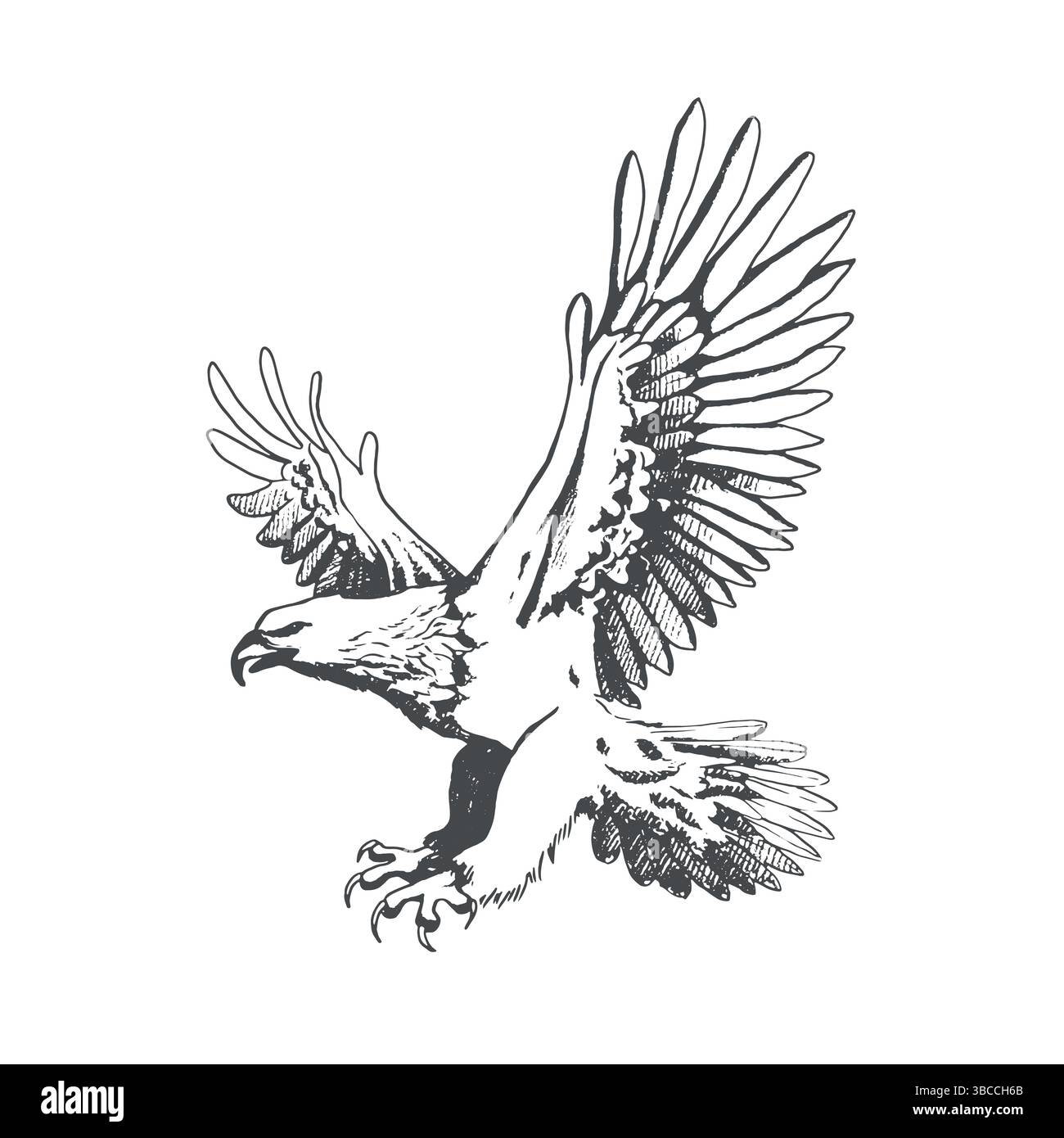 Ein großer Wildvogeladler fliegt mit ausgestreckten Flügeln. Vintage Gravur isolierte Adler Illustration Tusche Skizze. Grafische Umrissdarstellung. Handgezeichnetes Schwarzweiß-Vektorbild Stock Vektor