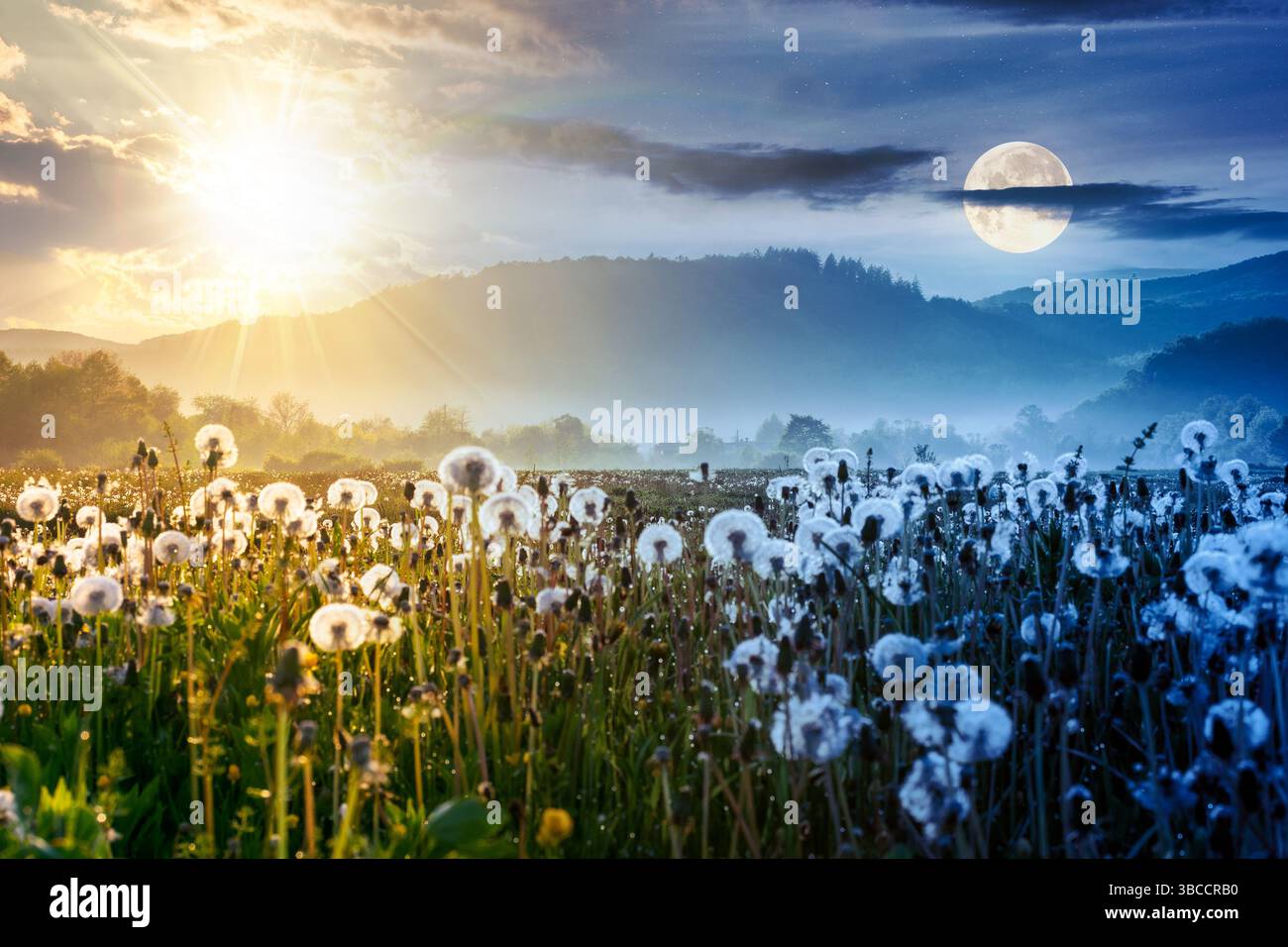 Bergige ländliche Landschaft mit Löwenzahnwiese im Frühjahr. Tag- und Nachtzeitwechsel. Hintergrundbeleuchtete Nebellandschaft im grünen Tal von Perechyn Stockfoto