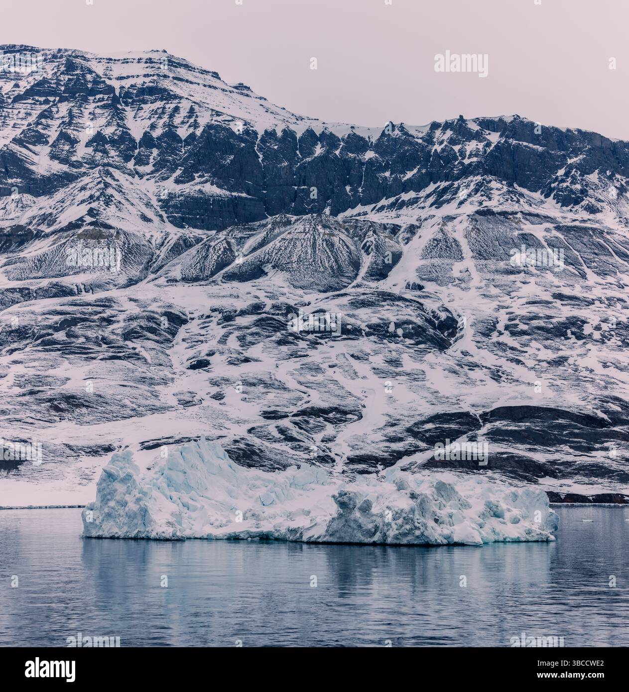 Eisberg in der Nähe der bergigen Küste Grönlands, mit schneebedeckten Felsformationen, die steil aus den arktischen Gewässern ragen. Stockfoto