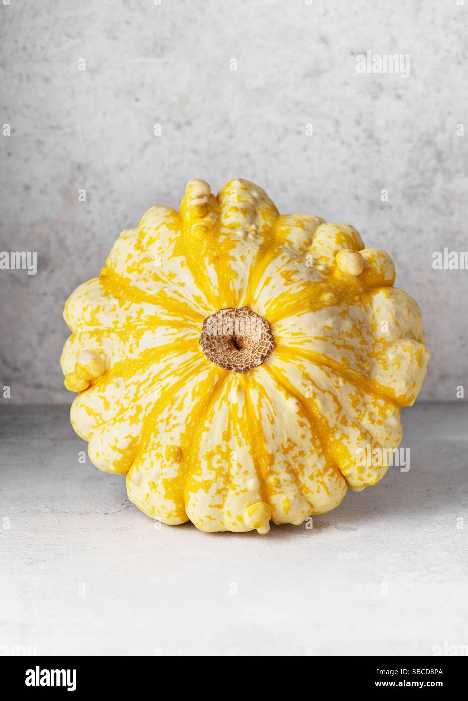 Bio UFO Pattypan Squash, Kürbis „Jerusalem Artischocke“ (Cucurbita pepo) auf hellem Steinhintergrund. Ernte oder gesunde Lebensmittel Konzept. Stockfoto