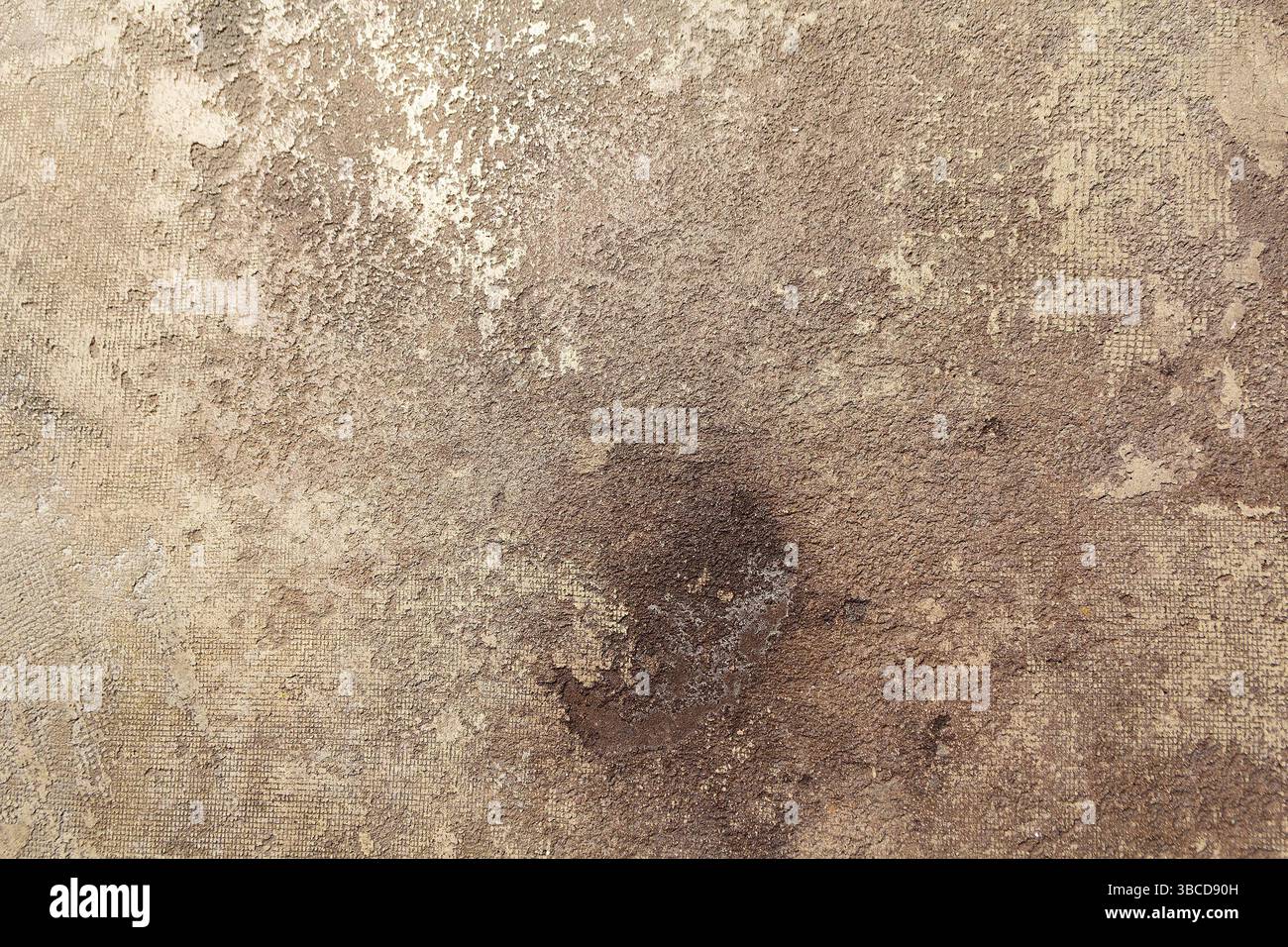 Dekorative Spachtelprobe an der Hauswand. Hintergrund Stockfoto