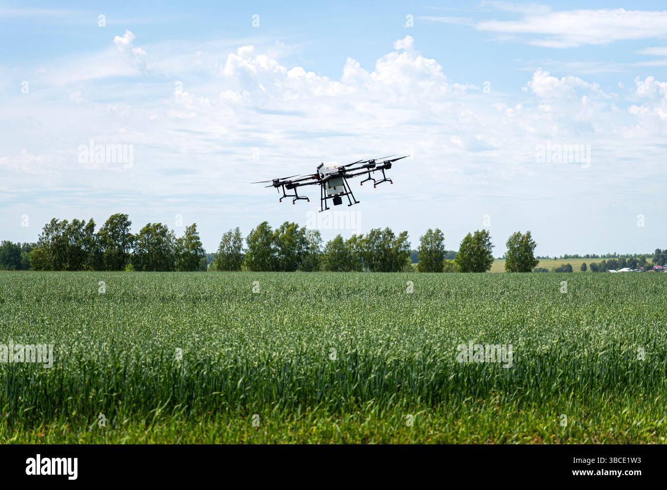 Drohnenspritze fliegt über das landwirtschaftliche Feld. Intelligente Landwirtschaft und Präzisionslandwirtschaft. Eine industrielle Drohne am Himmel. Quadrocopter zur Bestäubung Stockfoto