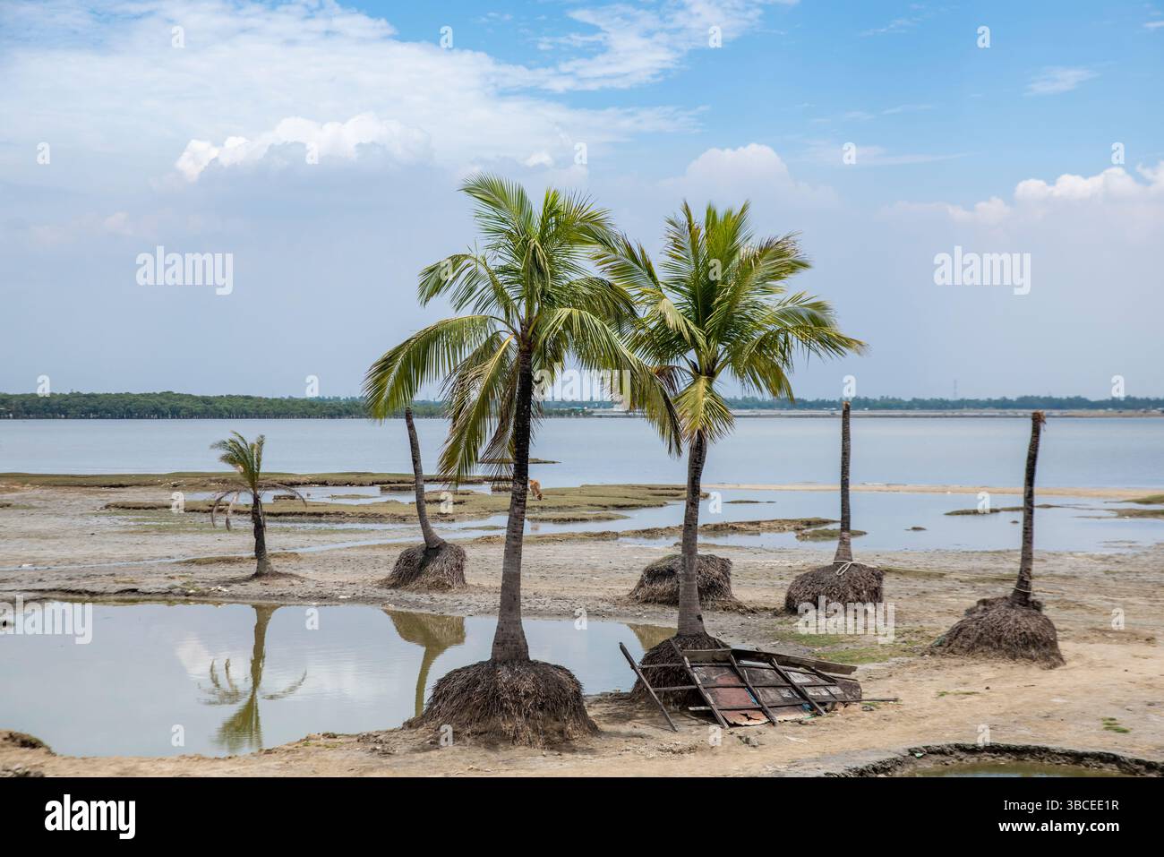 Der Klimawandel und seine Auswirkungen auf Bangladesch. Der Klimawandel stellt eine erhebliche Bedrohung für die Küstengebiete Bangladeschs dar, einschließlich des erhöhten Meeresspiegels, Stockfoto