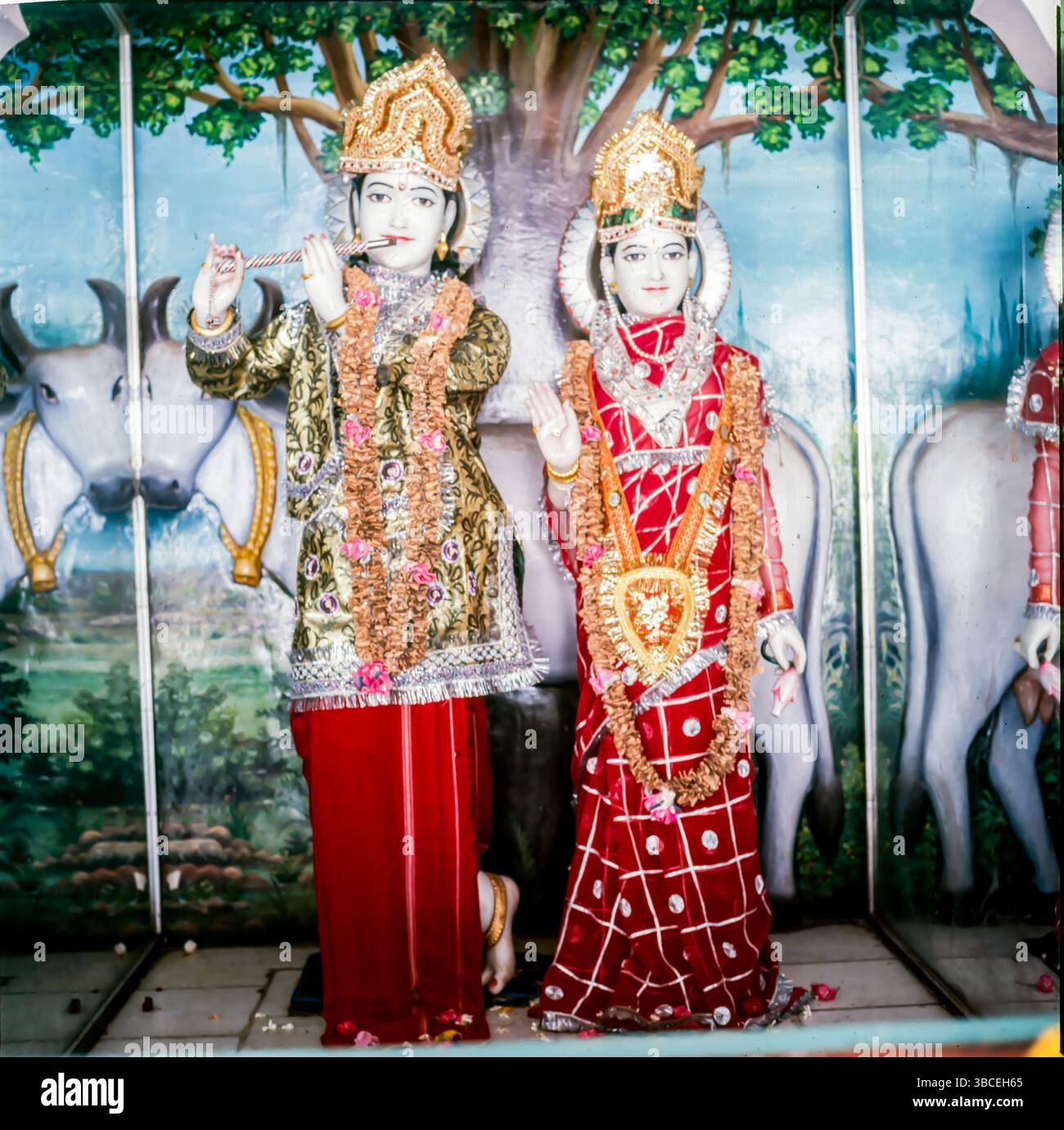 Radha Krishna Idols, Marmorstatuen, Tempel. Indien. Stockfoto Radha Krishna Idols, Marmorstatuen, Tempel. Indien. Stockfoto