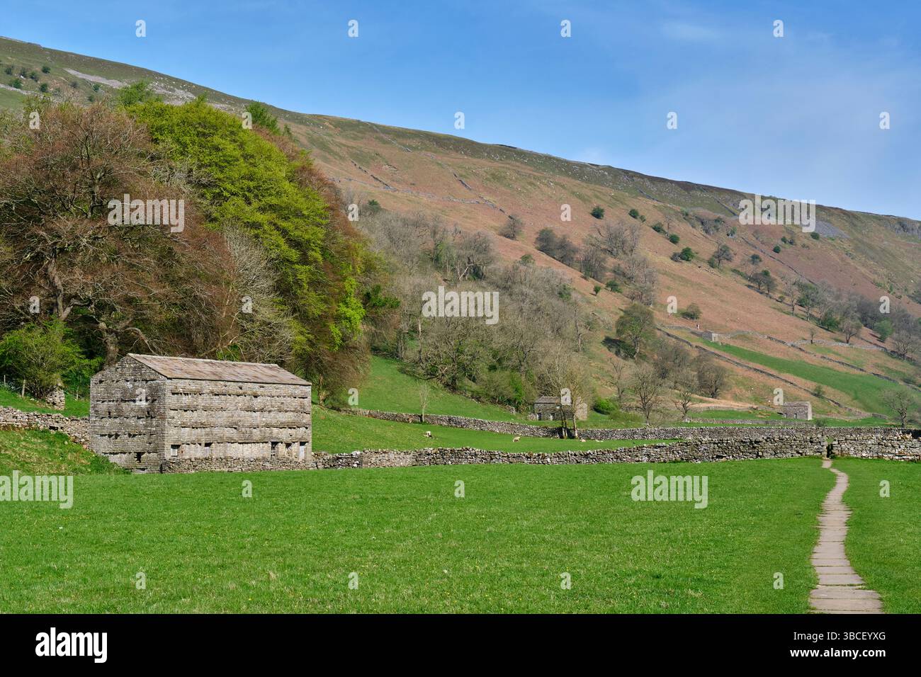 Steinhütten in Swaledale bei Muker, Yorkshire Dales, North Yorkshire Stockfoto