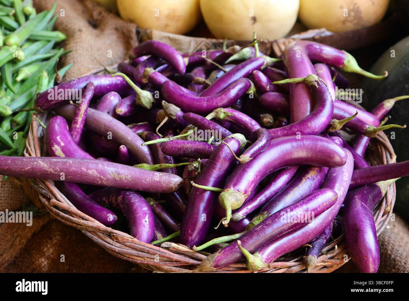 Der Brinjal auf dem Markt Stockfoto