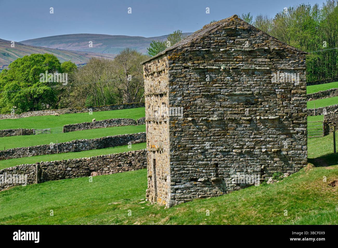 Steinhütte in Swaledale bei Muker, North Yorkshire Stockfoto