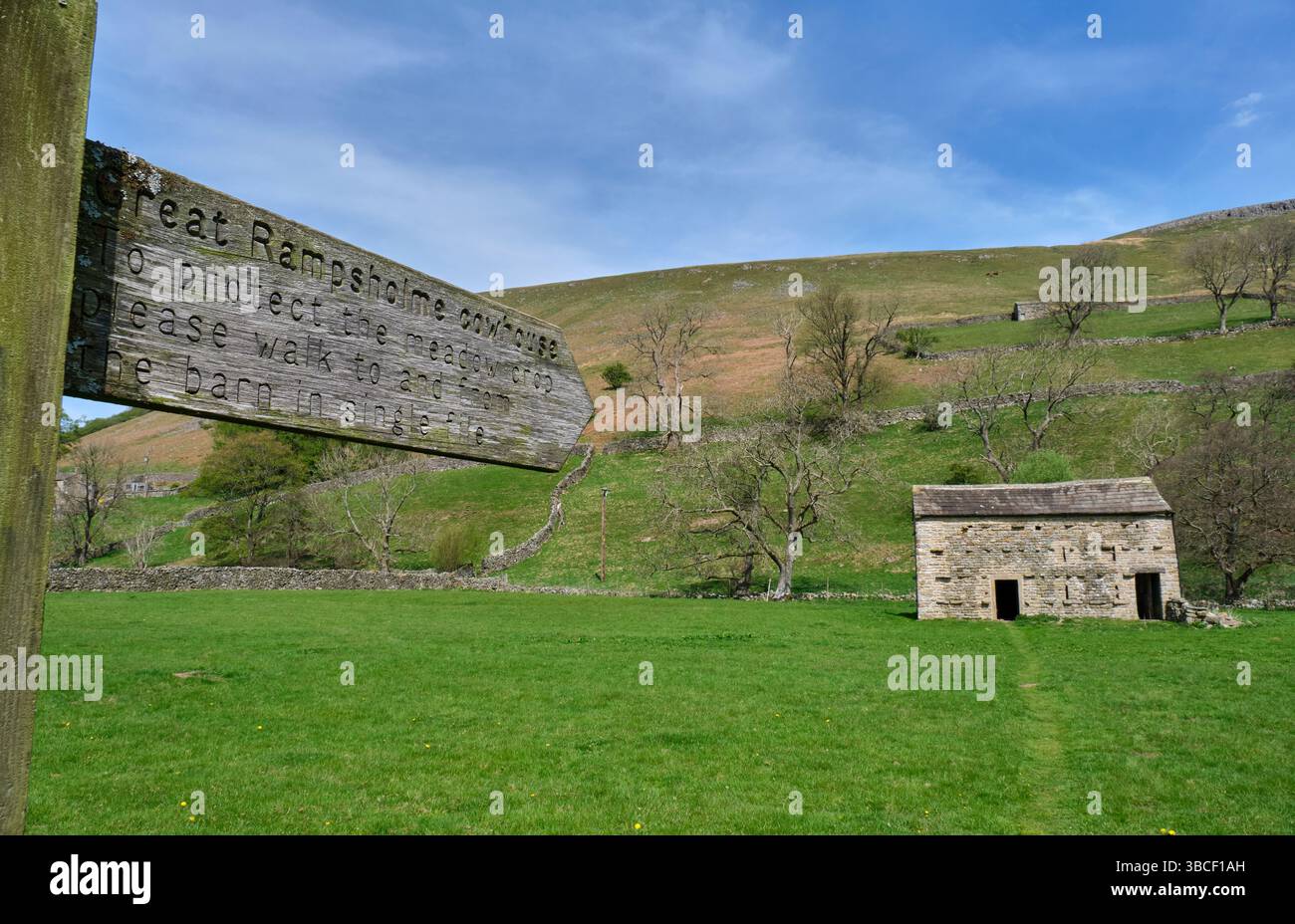Pfad zum Great Rampsholme Cowhouse, Rampsholme, Swaledale, Yorkshire Dales, North Yorkshire Stockfoto
