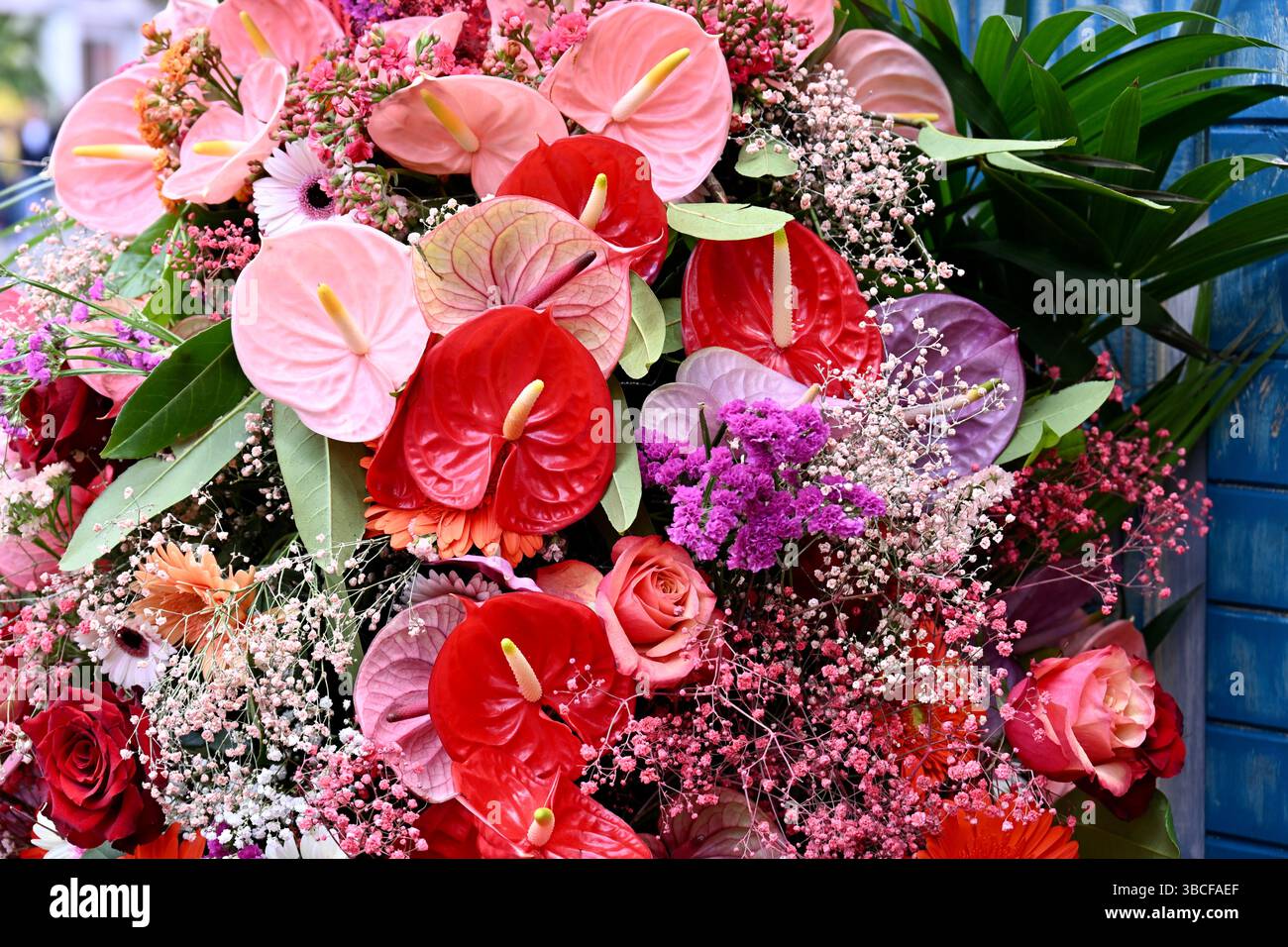 Chelsea in Bloom, 2025 steht das Thema „Flowers in Fashion“, um Chelsea Platz im Herzen vieler legendärer Modebewegungen in London, Großbritannien, zu feiern Stockfoto