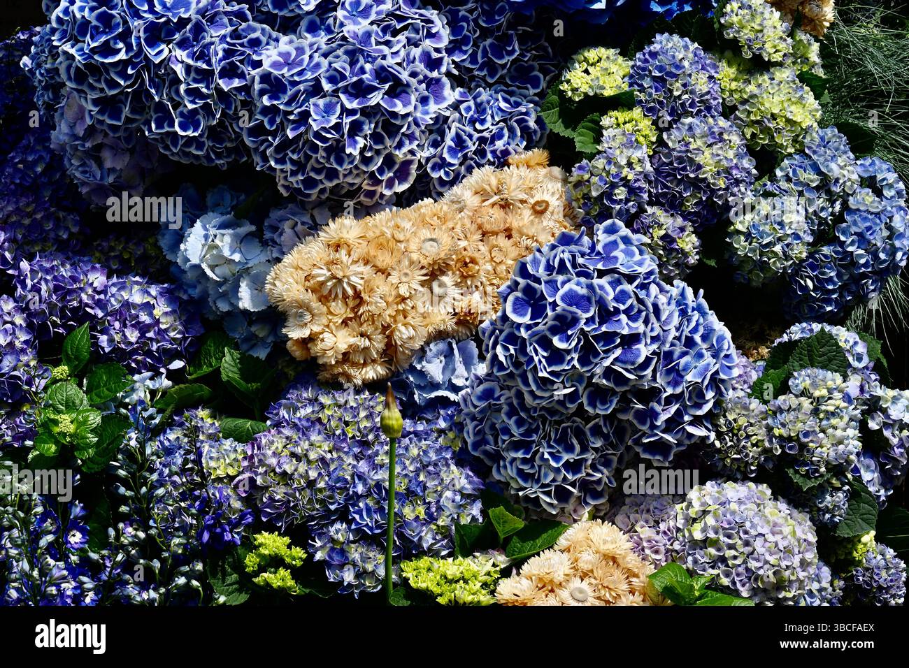 Chelsea in Bloom, 2025 steht das Thema „Flowers in Fashion“, um Chelsea Platz im Herzen vieler legendärer Modebewegungen in London, Großbritannien, zu feiern Stockfoto