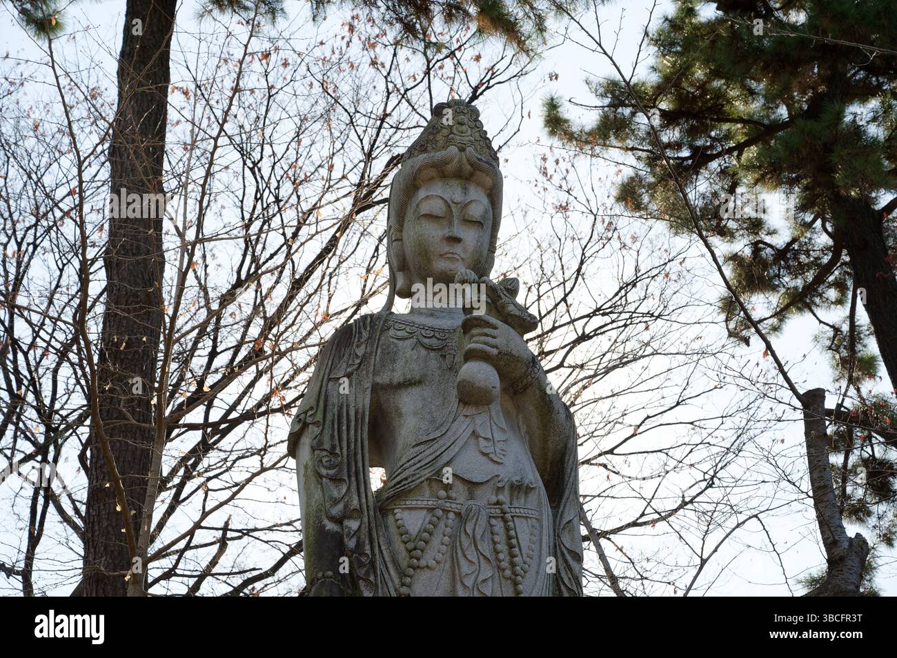 Eine heitere Buddha-Statue steht zwischen Winterbäumen am Zōjō-JI-Tempel Stockfoto