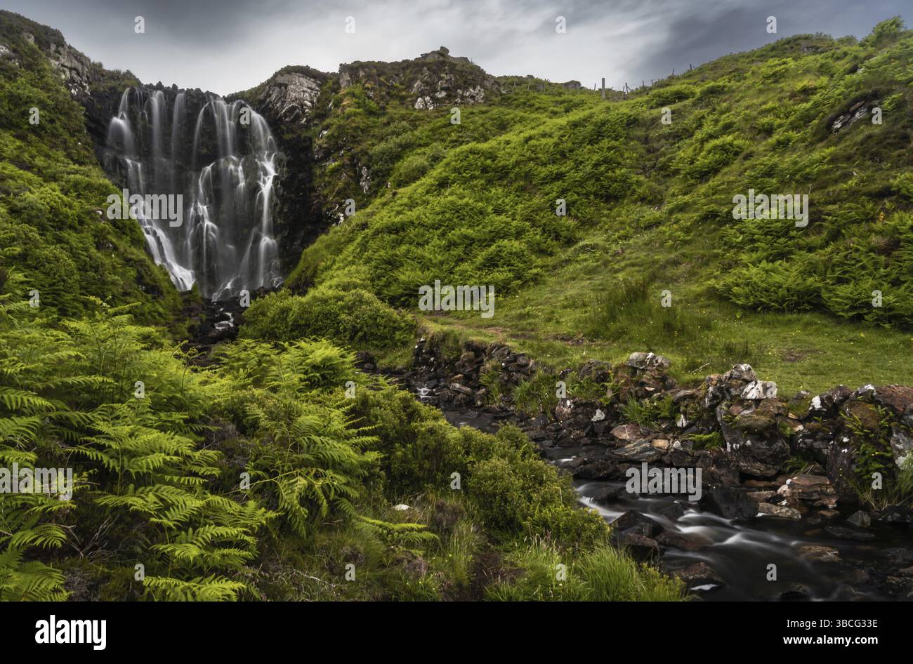 Blick auf den Clashniesse Wasserfall im schottischen Hochland im Hochsommer mit saftig grünen Farnen im Vordergrund Stockfoto