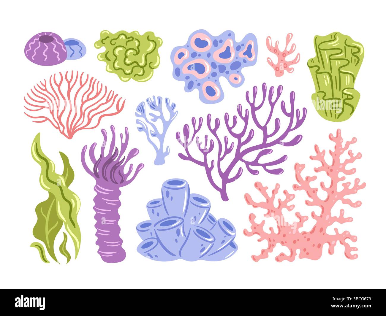 Diese lebendige Kollektion umfasst illustrierte Korallen und farbenfrohe Meerespflanzen, ideal für Projekte mit Meeresmotiven Stock Vektor