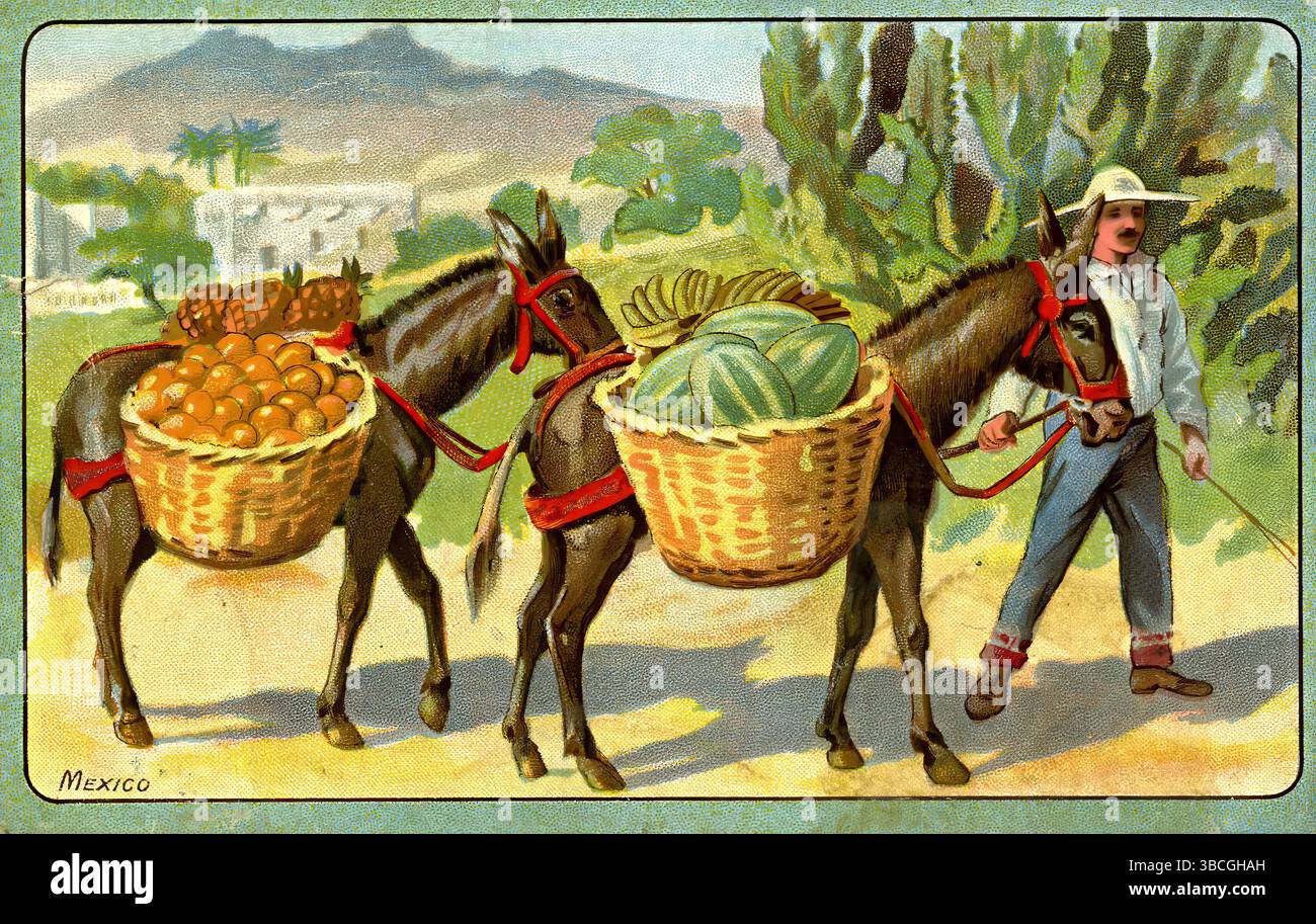 Owbridge's Lung Tonic - Mexiko - historische Werbespot-Illustration Stockfoto