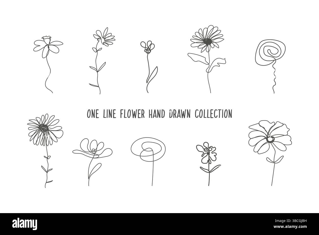 One Line Art Blume Vektor Kollektion - handgezeichnetes Design. Schöne Umrisse blühende elegante Skizzen-Set mit niedlichen Pflanzen. Einzeilig mit Blumenmuster Stock Vektor