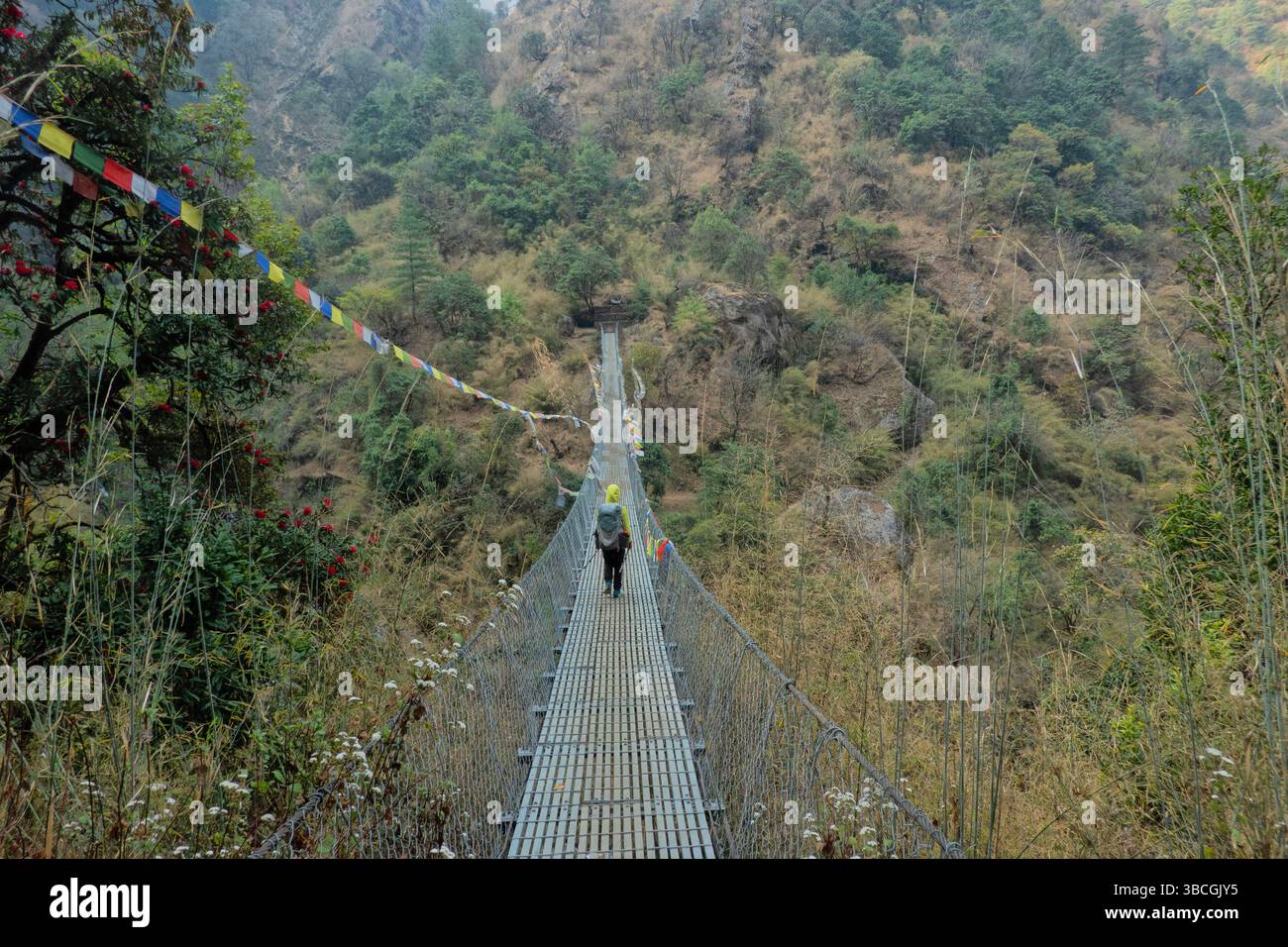 Hängebrücke in der Nähe von Thulo Syabru, Langtang Nationalpark, Nepal Stockfoto