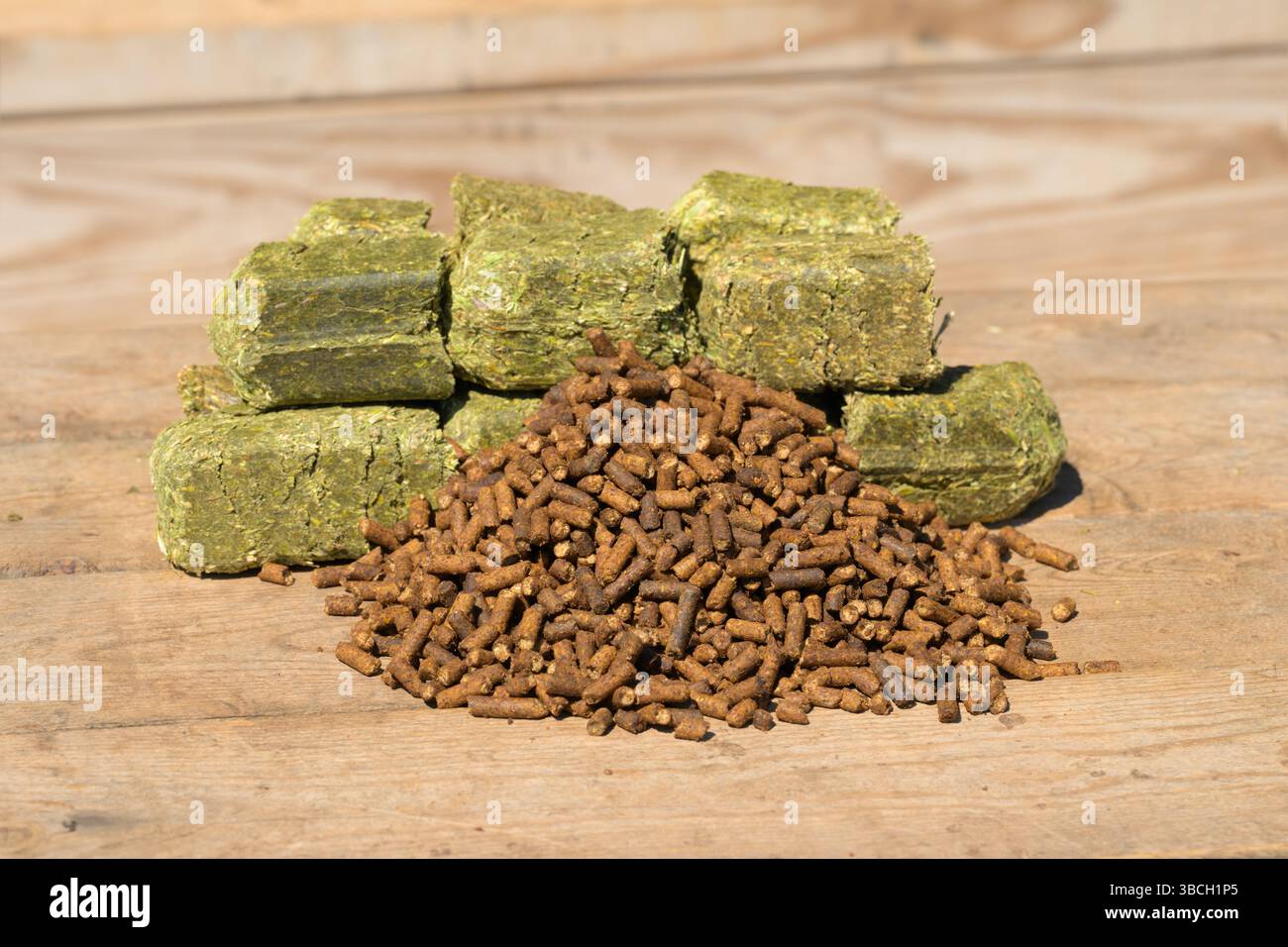 Seniorenpferdefutter; dunkelbraunes pelletiertes Futter mit Melasse vorne und grünen Luzernewürfeln auf der Rückseite; auf Holzoberfläche Stockfoto