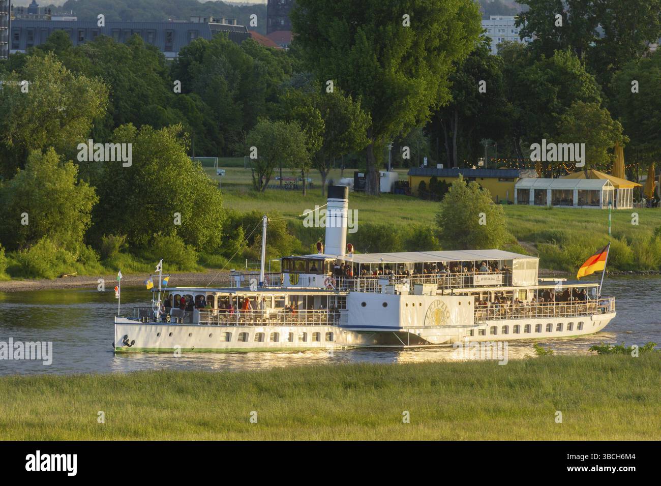 Beim Dixiland Festival schlurfen Flussboote mit den Dampfbooten der Sächsischen Dampfschiffgesellschaft auf der Elbe. Raddampfer Leipzig, Dresden, Sachsen, GE Stockfoto