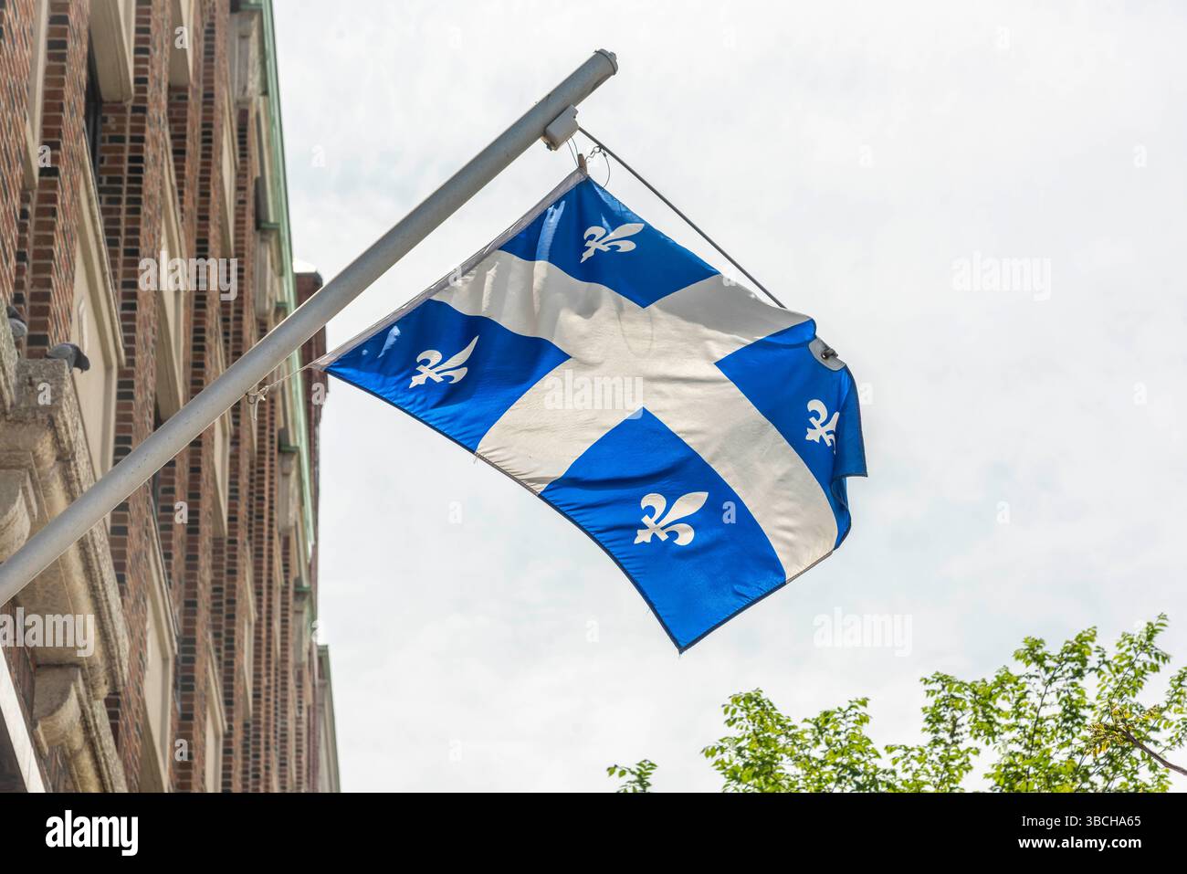 Die Flagge von Quebec, die an einem Mast an einem Gebäude hängt. Stockfoto