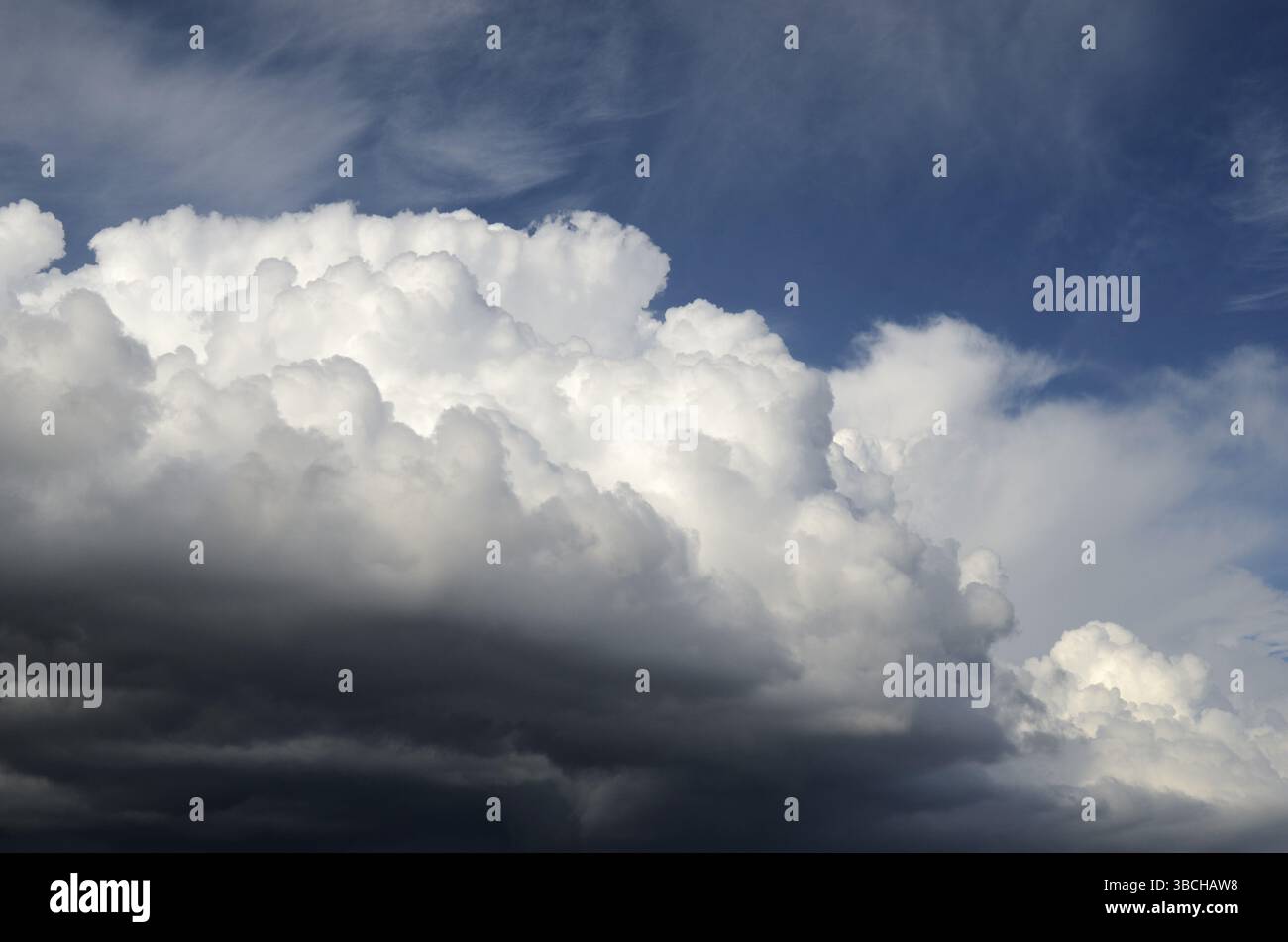 Cumulus Wolken, die im Sommer von der Sonne beleuchtet werden Stockfoto