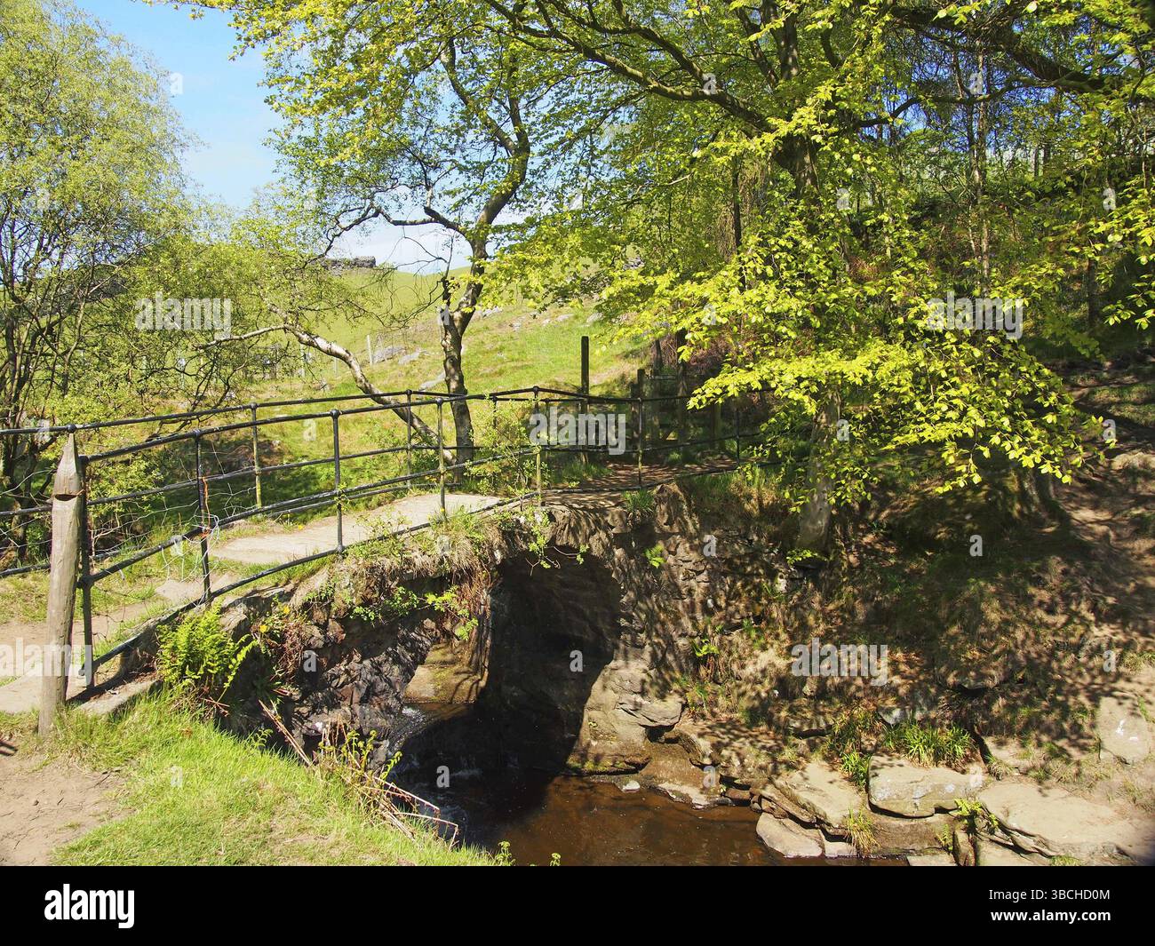 Die alte Packhorse Bridge am lumb Hole fällt einen Wasserfall im Wald bei Crimsworth Decan nahe Pecket Well in calderdale im Westen yorkshires Stockfoto
