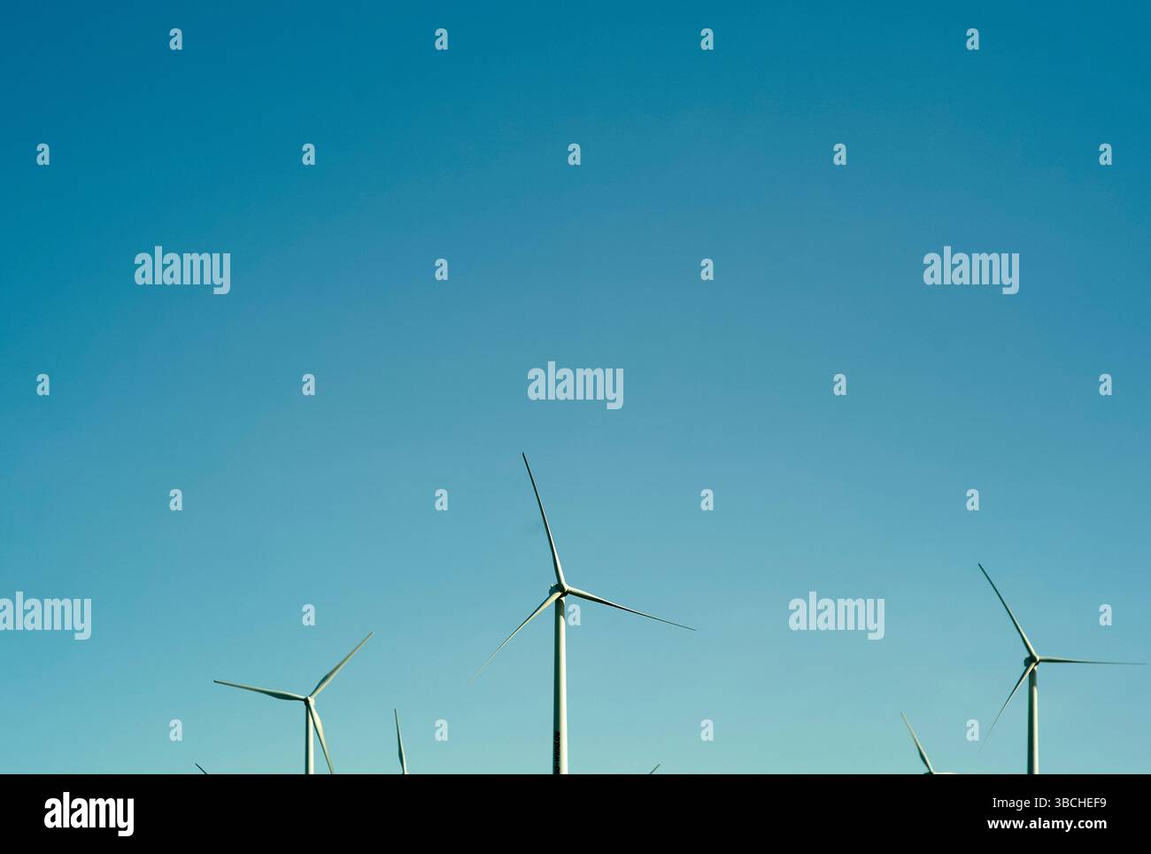 Windenergieanlagen unter klarem blauem Himmel erzeugen saubere erneuerbare Energie. Österreich Stockfoto