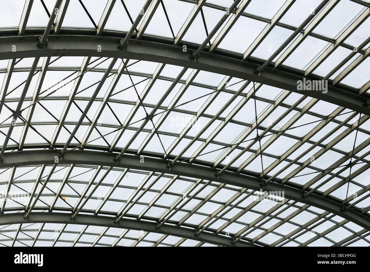 Modernes Stahlglasdach. Geometrische gekrümmte Struktur. Architektonische Decke mit Metallstangen. Transparente Konstruktion. Futuristisches Kuppelmuster. Stockfoto