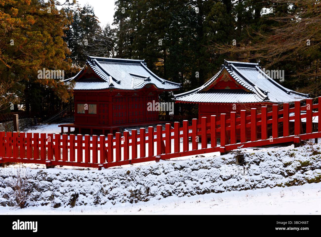 Nikko-Schrein, Präfektur Tochigi, Honshu, Japan, Asien. Stockfoto