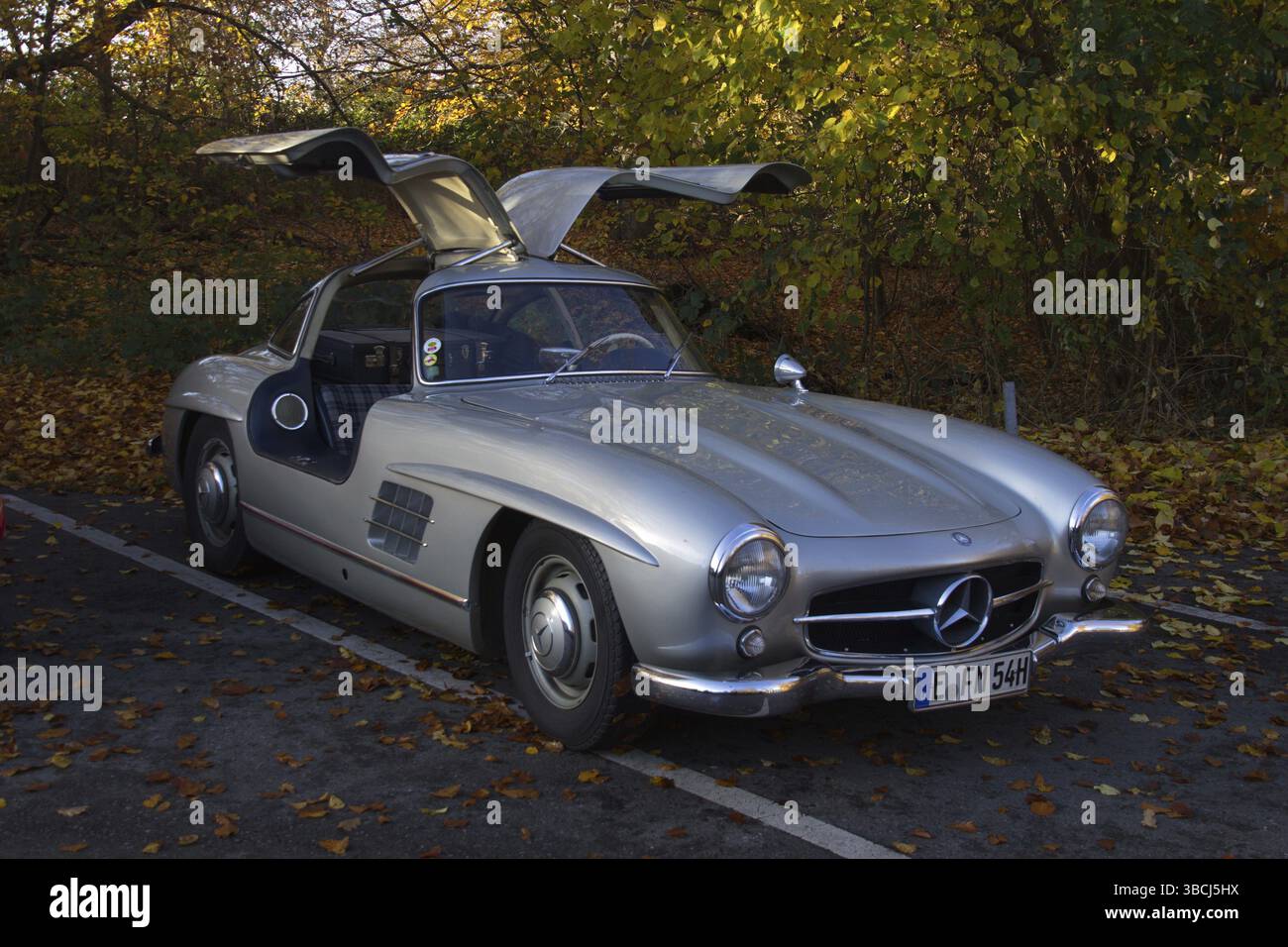 Fotosession PK Stockfoto