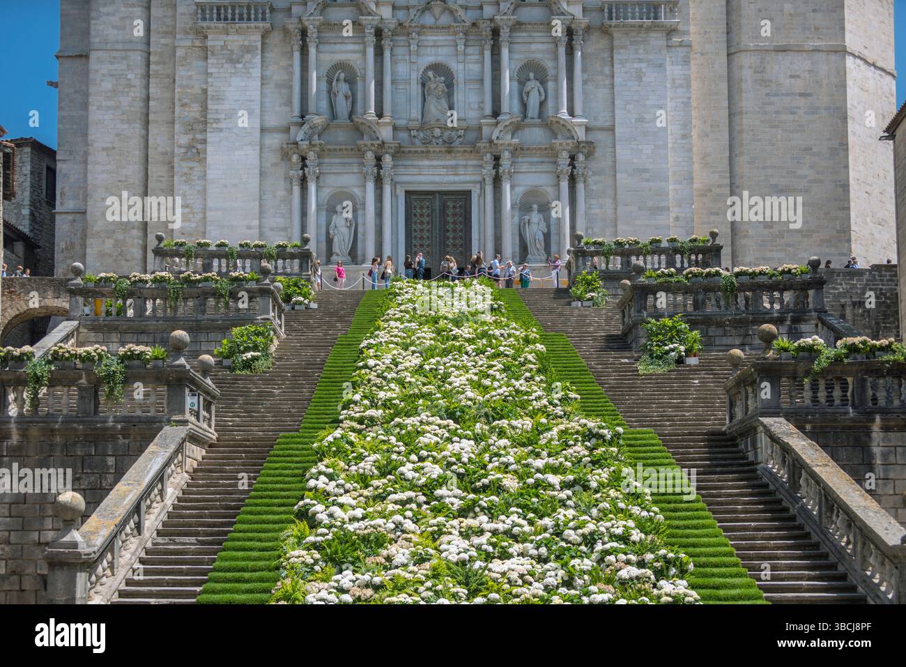 FLORS I AIGUA BROLLANT DE LA CATEDRAL KUNSTINSTALLATION (©AJUNTAMENT GIRONA 2025) JÄHRLICHES BLUMENFEST KATHEDRALE STUFEN ALTSTADT GIRONA STADT KATALONIEN Stockfoto