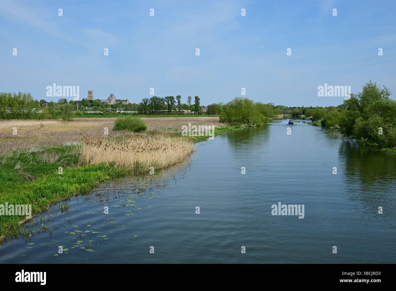 Fluss Great Ouse flussaufwärts von Ely mit Kathedrale im Hintergrund, Ely, Cambridgeshire, England, Großbritannien Stockfoto