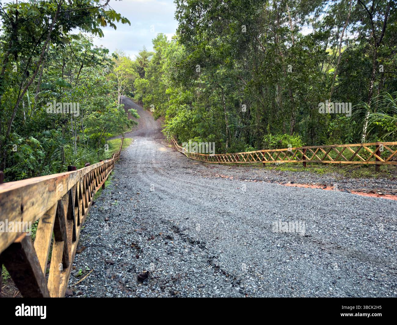 Schotterstraße durch den Regenwald im Chagres-Nationalpark, Panamá, Zentralamerika – Stockfoto Stockfoto