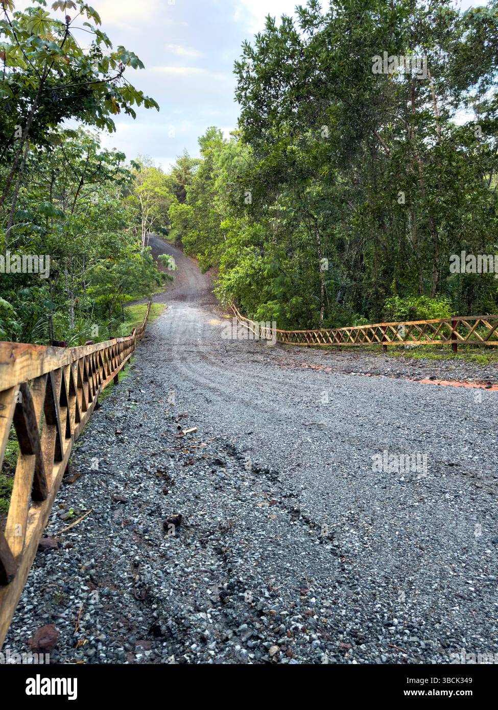 Schotterstraße durch den Regenwald im Chagres-Nationalpark, Panamá, Zentralamerika – Stockfoto Stockfoto