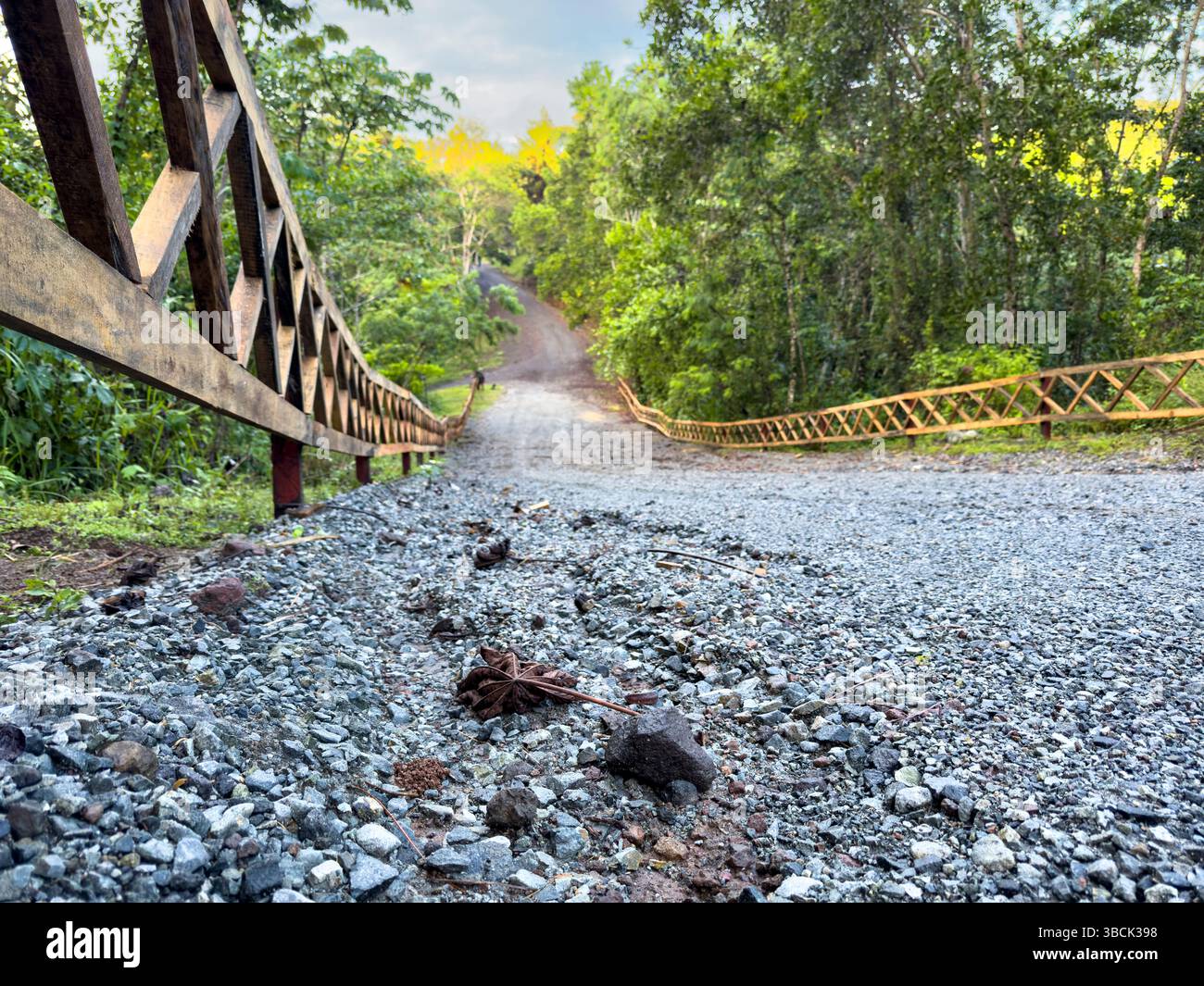 Schotterstraße durch den Regenwald im Chagres-Nationalpark, Panamá, Zentralamerika – Stockfoto Stockfoto