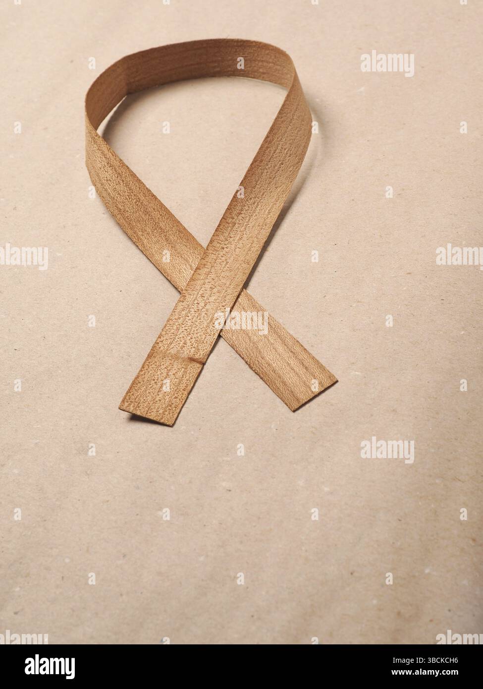 Holzrand Furnier Locke auf einem natürlichen Papier Hintergrund mit Raum, Symbol für Leberkrebs Bewusstsein, Weltkrebstag Stockfoto
