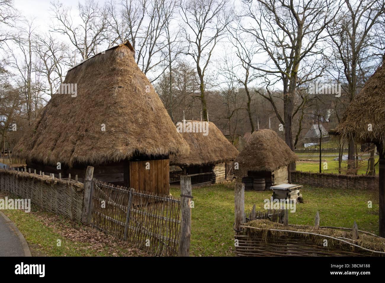 Alte Häuser im Astra-Museum, der wichtigsten Ethno-Museumseinrichtung in Rumänien. Stockfoto
