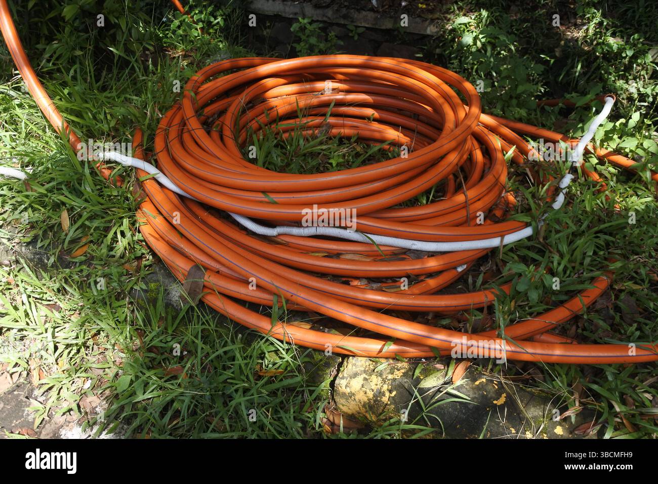 Ein gewickelter orangefarbener Wasserschlauch lag genau so auf dem grünen Gras, dass er einsatzbereit ist Stockfoto