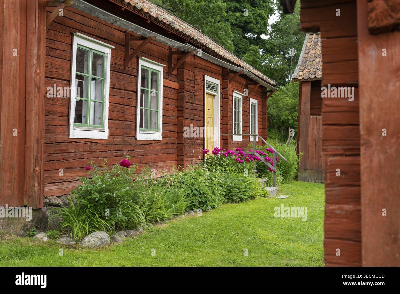 Gamla Uppsala, Schweden - 24. Juni 2021: Idyllische rote Ferienhäuser in der schwedischen Landschaft mit grünen Wiesen an einem schönen Sommertag Stockfoto