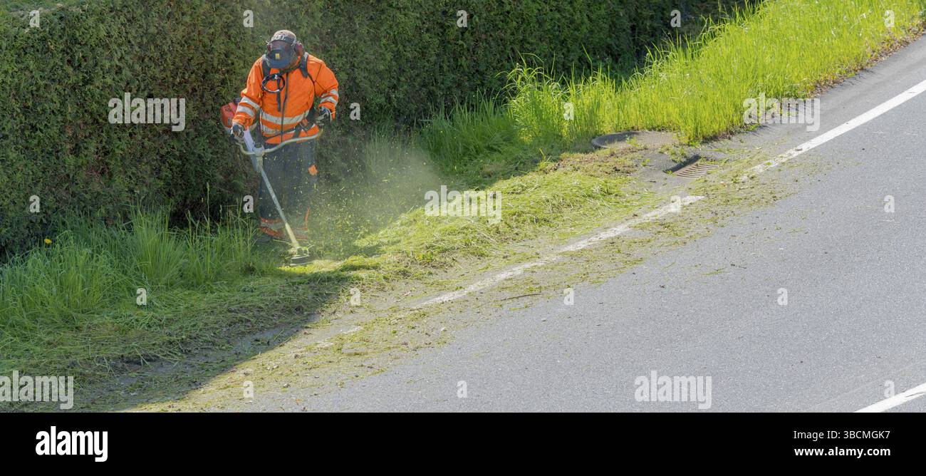 Ein stadtarbeiter Clearing am Straßenrand von Gras und Unkraut mit einem weed Eater Stockfoto