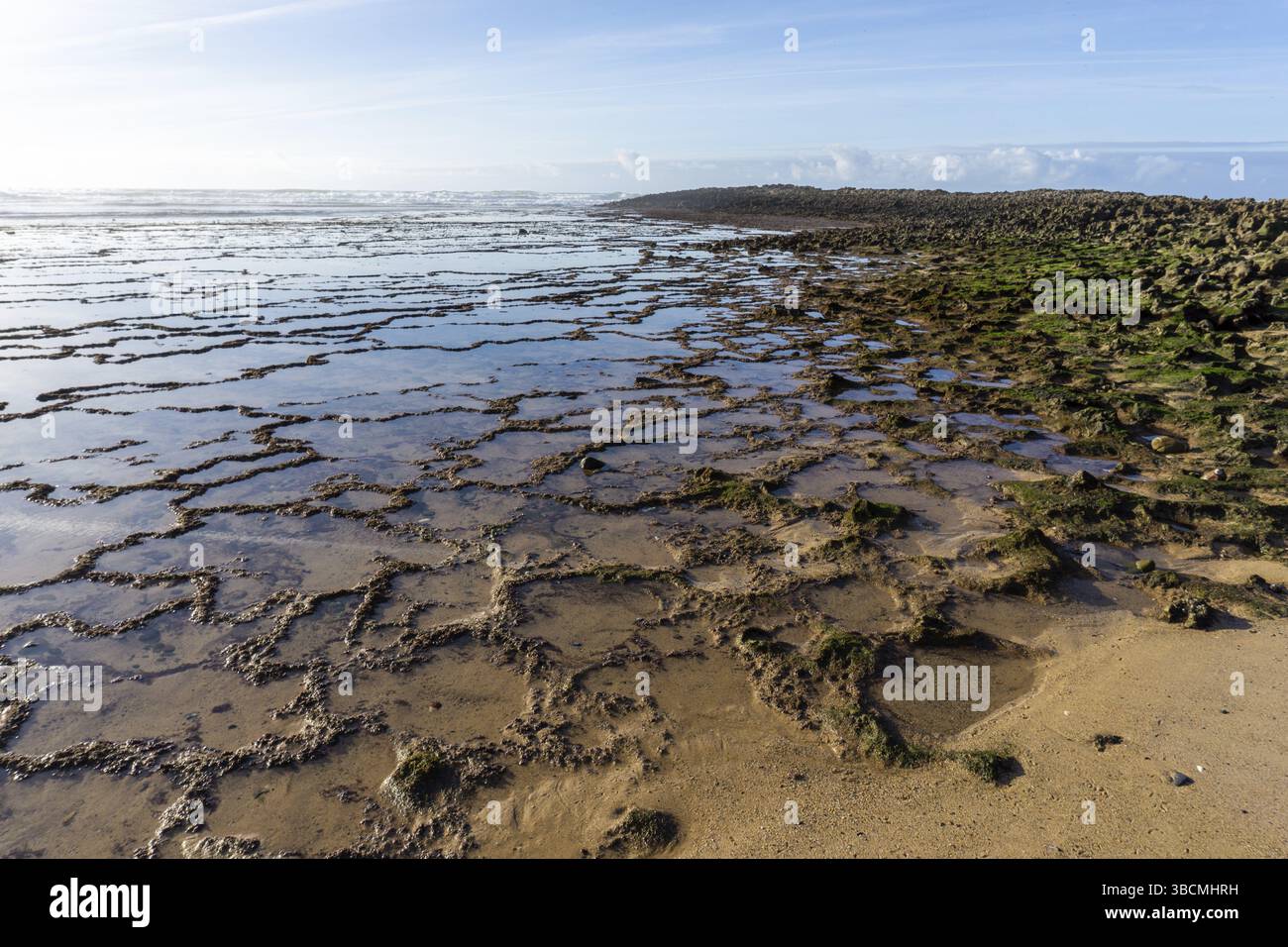 Schöner Fels- und Sandstrand an der Alentejo Küste Portugal bei Milfontes Stockfoto