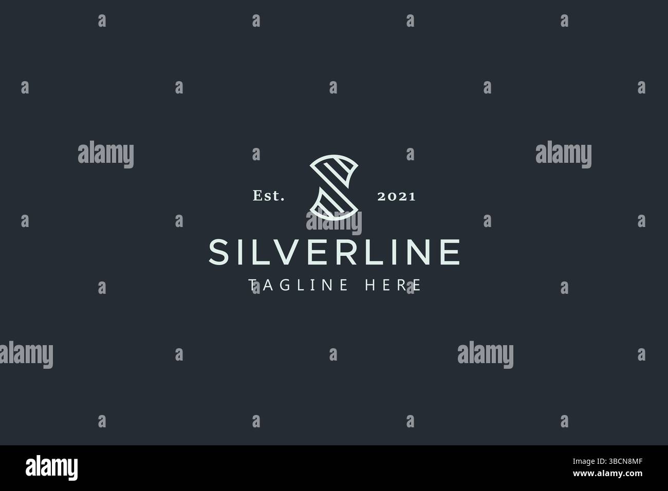 Letter S Initial Logo Business. Branding für Mode und Beauty. Elegante Silberfarbe. Stock Vektor