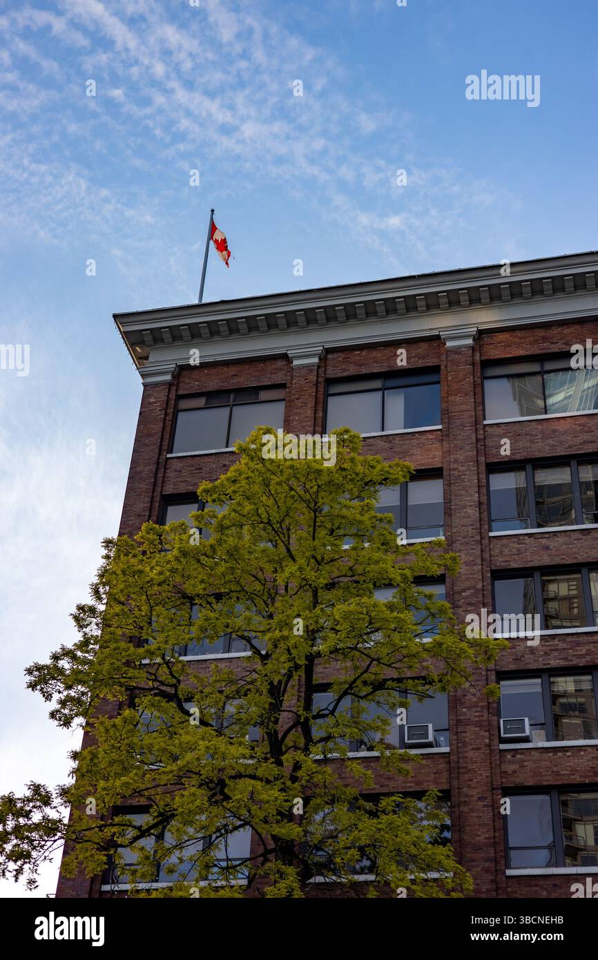 Kanada Flagge auf einem klassischen Gebäude von unten gesehen Stockfoto