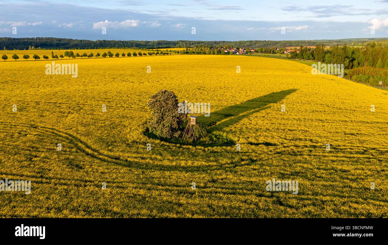Standard Stockfoto