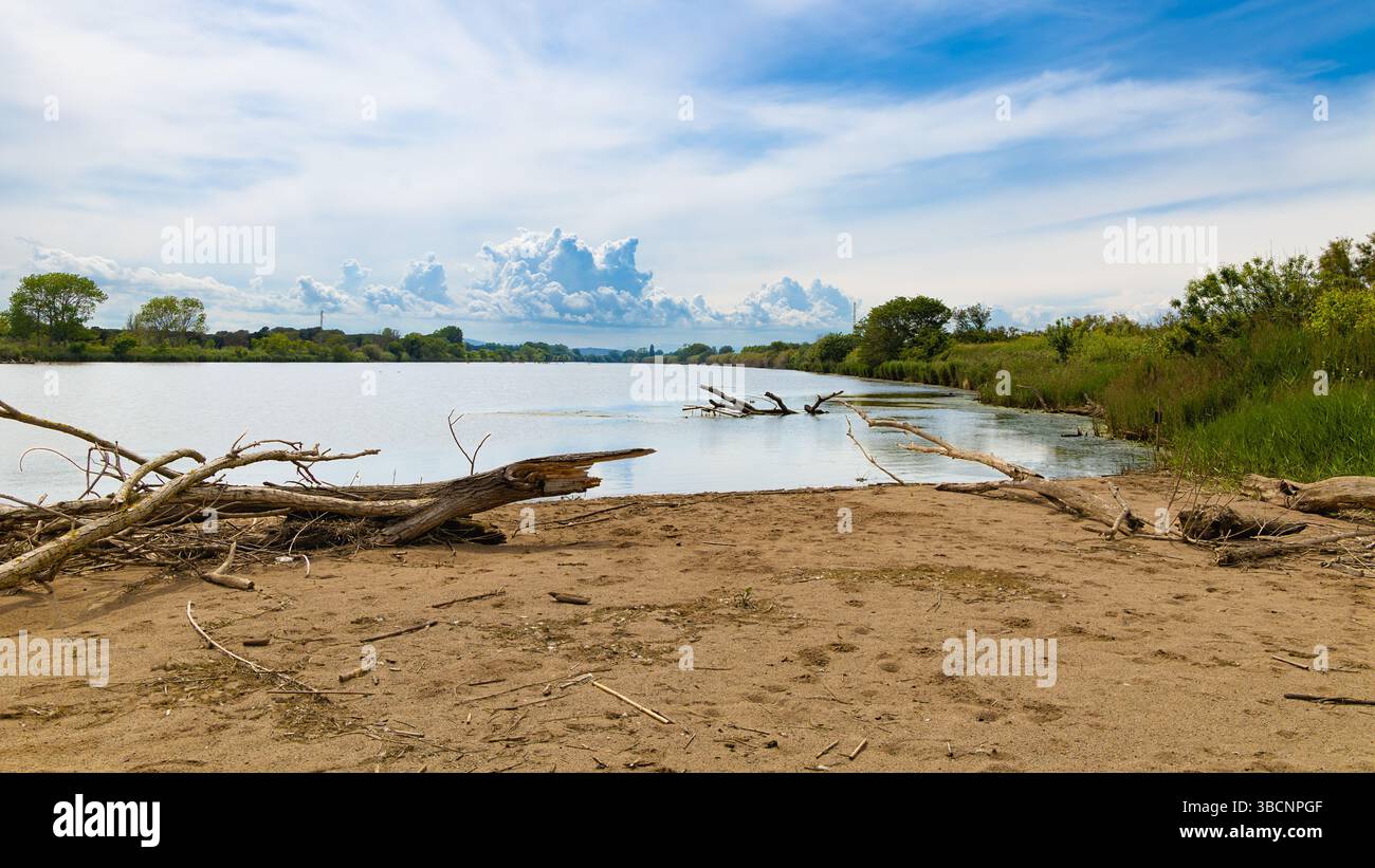 Blick auf den Fluss Ter in der Nähe seiner Mündung bei Gola del Ter, Estartit, Spanien. Die Ufervegetation säumt die Ufer dieser Costa Brava Naturlandschaft. Stockfoto