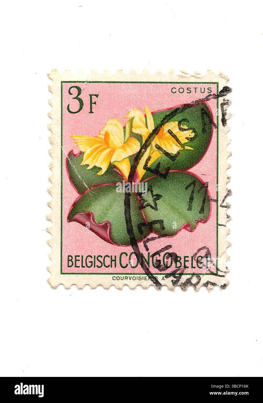 Eine alte Briefmarke aus dem belgischen Kongo, isoliert auf weißem Hintergrund. Stockfoto