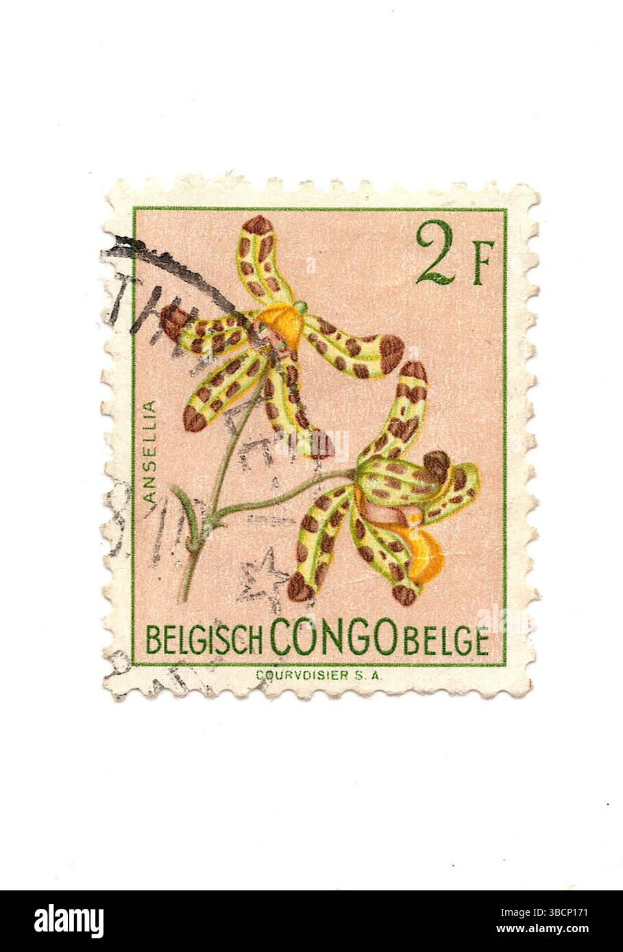Eine alte Briefmarke aus dem belgischen Kongo, isoliert auf weißem Hintergrund. Stockfoto