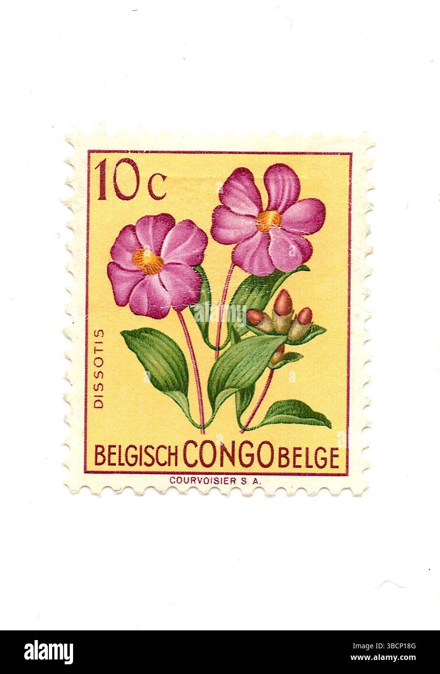 Eine alte Briefmarke aus dem belgischen Kongo, isoliert auf weißem Hintergrund. Stockfoto
