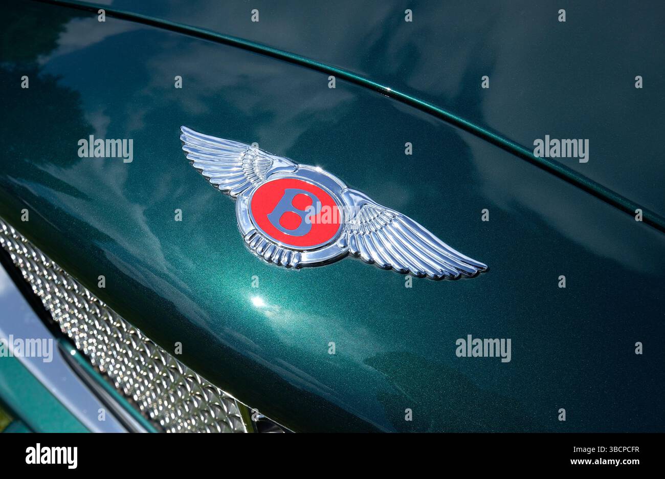 bentley-Kfz-Emblem auf grünem Lack Stockfoto